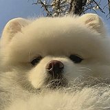 小黄不是小朋友哇的头像