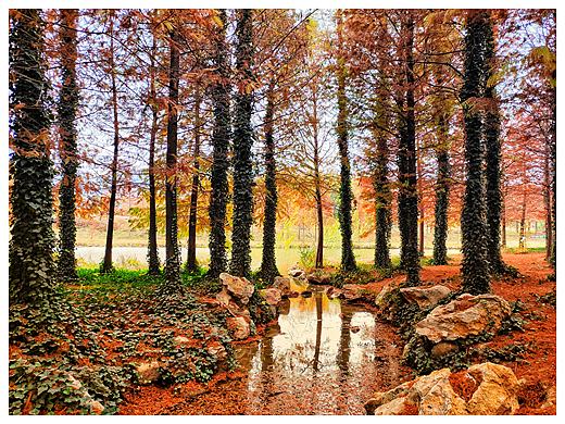 中国矿业大学校园小景（个人主页-ZNDE3MjEzNTY=） - 风光摄影 - 站酷设计师一只达芬哗吖原创素材 - 站酷ZCOOL