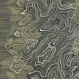 绛柒的头像