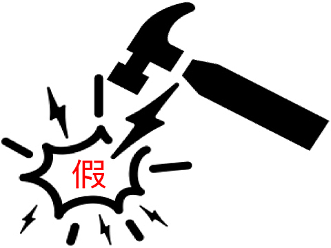 打假