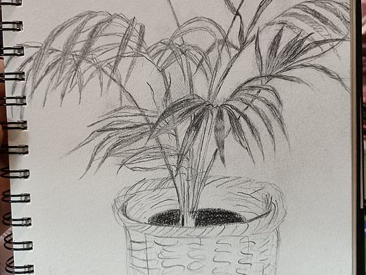 素描打卡3的另外二分之一