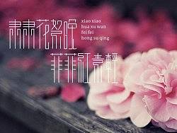 31·字体设计~