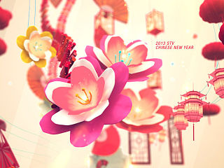 STV2013春节包装