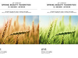 ps调色前后效果对比图