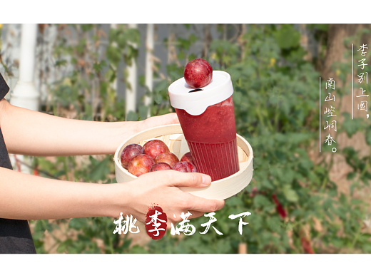 李子 产品摄影 