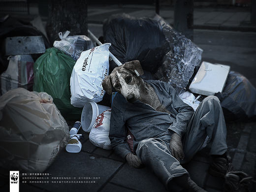 流浪犬貓 / Homeless Dog (Cat)