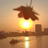 六寻的头像