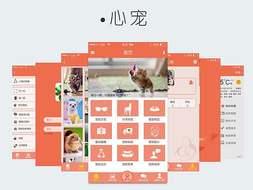 心宠APP界面设计