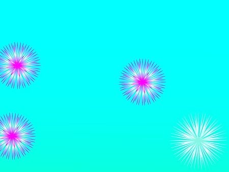 蒲公英