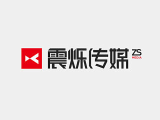 震烁传媒logo提案稿