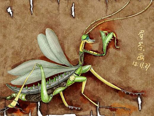 原创练习（个人主页-ZMzMzNDY2MzI=） - 概念设定 - 站酷设计师眉茶原创素材 - 站酷ZCOOL