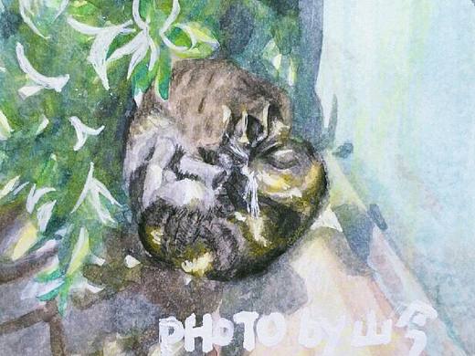 最近的練習(xí)（個(gè)人主頁-ZMjE4OTA0NTY=） - 創(chuàng)作習(xí)作 - 站酷設(shè)計(jì)師齊鳳梨SnailQ原創(chuàng)素材 - 站酷ZCOOL