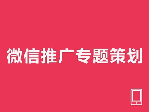 门店系统推广专题策划项目