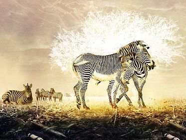 中秋、国庆（个人主页-ZMTM0ODkzMzI=） - 海报 - 站酷设计师一直走着6808原创素材 - 站酷ZCOOL