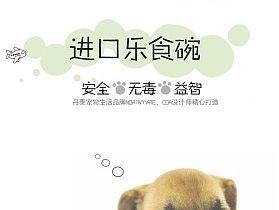 宠物食盆