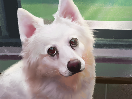 狗狗