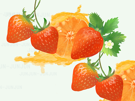 水果插画系列