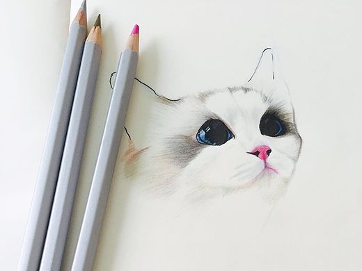 还你一整个世界