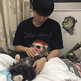 Libertylingpeng的头像