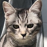 XDNA的头像