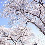 用戶頭像
