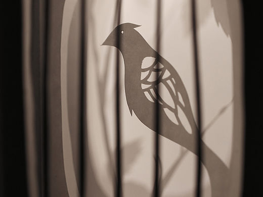 《自由》概念书籍设计