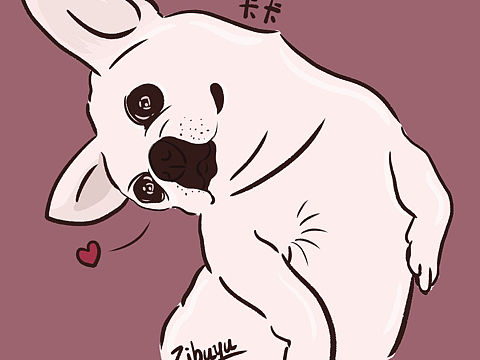 板绘宠物插画