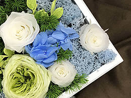 Djinn Garden永生花2