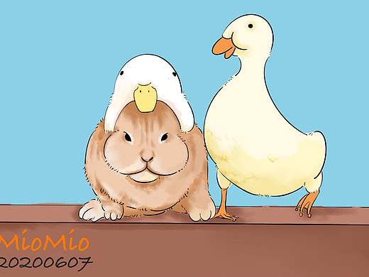 🐰和🦆