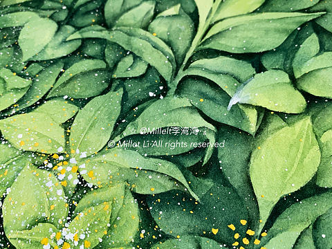 趁着阳光正好..☀️