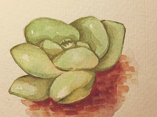 那些肉肉（個人主頁-ZNzc4OTU0NA==） - 創(chuàng)作習作 - 站酷設(shè)計師小王子514原創(chuàng)素材 - 站酷ZCOOL