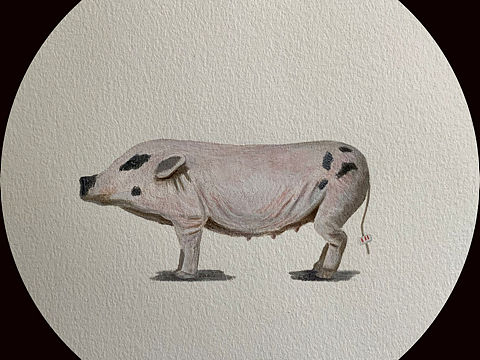 平衡的作用（个人主页-ZMzc4MTQxMjQ=） - 绘画 - 站酷设计师赵磊艺术家原创素材 - 站酷ZCOOL