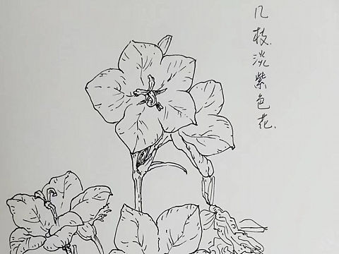 画在扇子上的画（个人主页-ZMjgzMDkzNjA=） - 绘画 - 站酷设计师董之原创素材 - 站酷ZCOOL