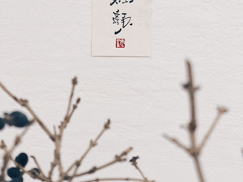红颜。