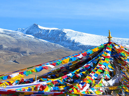 走走，顺便按按快门