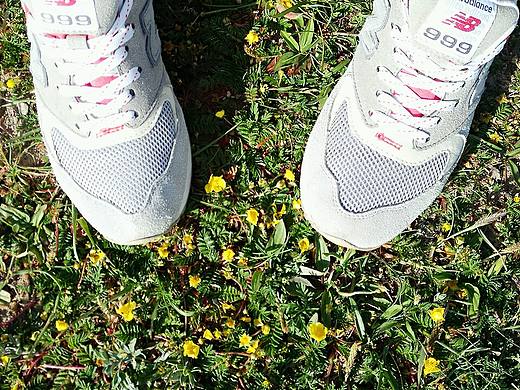 青海湖边（个人主页-ZMTcwNjU2MDg=） - 风光摄影 - 站酷设计师小丑丹尼原创素材 - 站酷ZCOOL