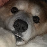 Bailey_sally的头像
