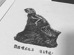 一本书 牙齿艺术
