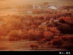 【塞罕坝】秋色，内蒙乌兰布统