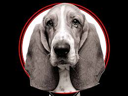 生命沒有排序，你我沒有情感之別