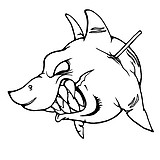 sheepboro的头像