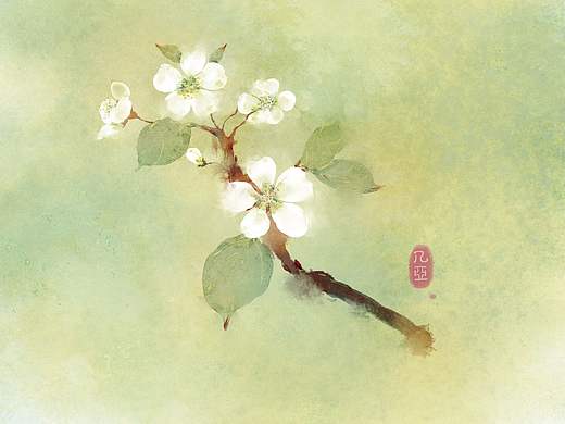 2019个人插画合集