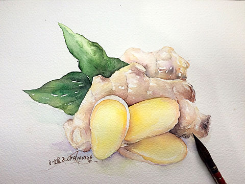 #香料篇#水彩生姜
