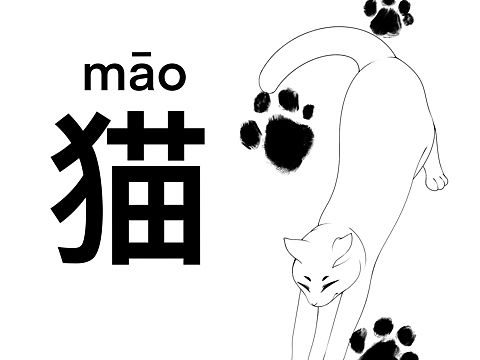 猫