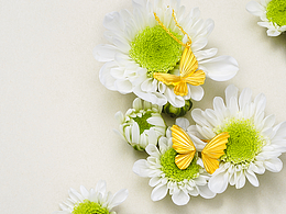 珠宝场景拍摄｜沙豆文化 ✖ 周大福