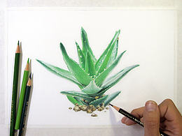 绘画