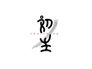 最近字体设计整合