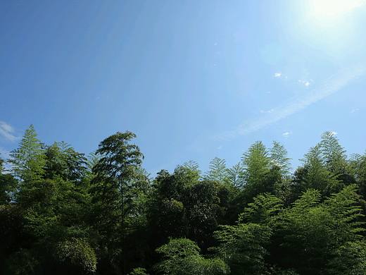 乡村