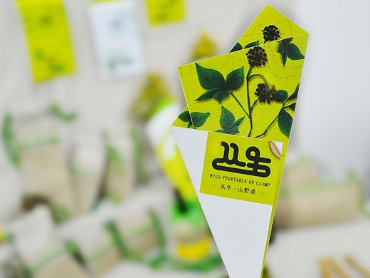 毕业设计—《丛生》吉林山菜包装