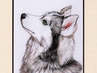 十二生肖之－狗（个人主页-ZMTQ3MzgzOTI=） - 创作习作 - 站酷设计师书言绘物原创素材 - 站酷ZCOOL